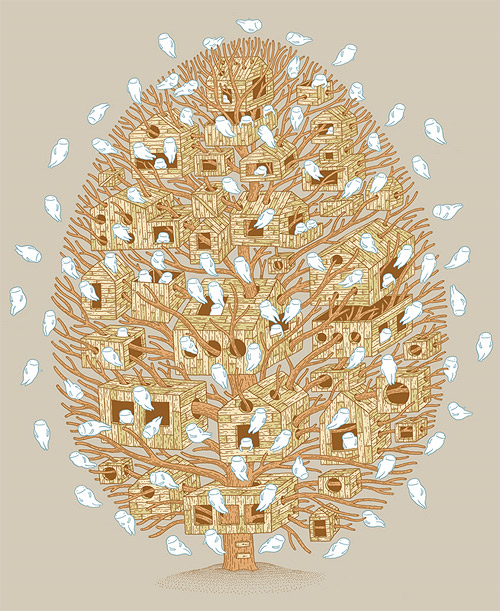 artist illustrator jesse jacobs illustration