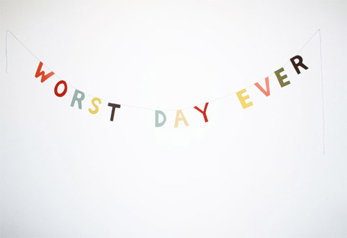 celebratory signs by megan galante