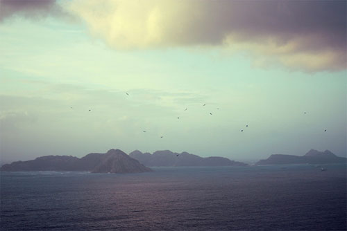 Photographer Carla Fernandez Andrade