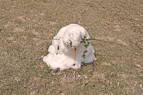 Artist Brock Davis make something cool every day
