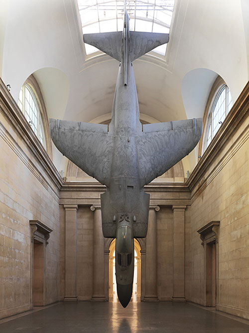 sculptures by artist fiona banner