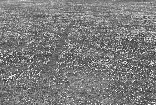 sculptures by artist richard long