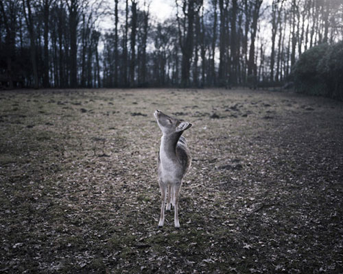 photographer photography tobias kruse