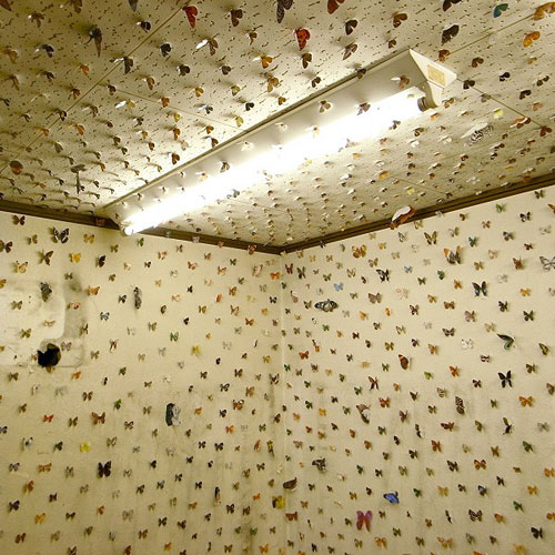 Butterfly’s Eye View by Eiji Watanabe installation cut paper