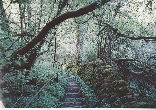 Photographer Emma Parry photography