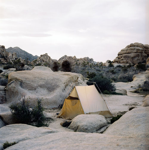 Photographer Jonathan Levitt