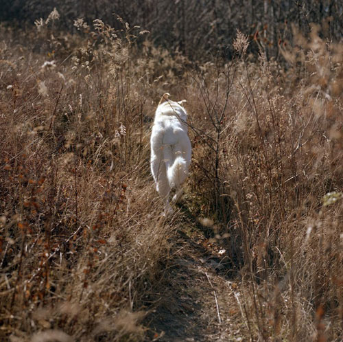 Photographer Jonathan Levitt