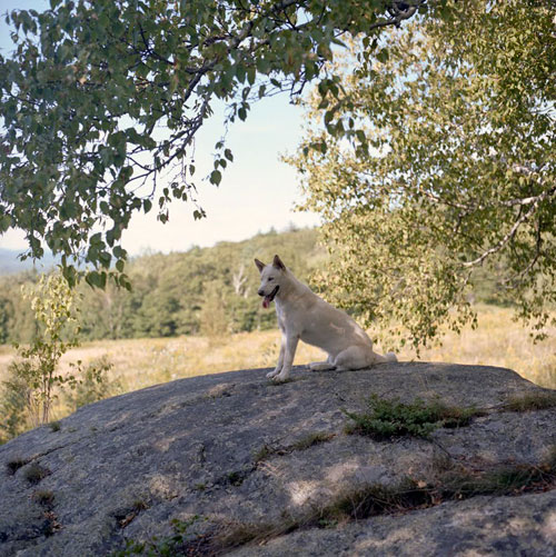 Photographer Jonathan Levitt