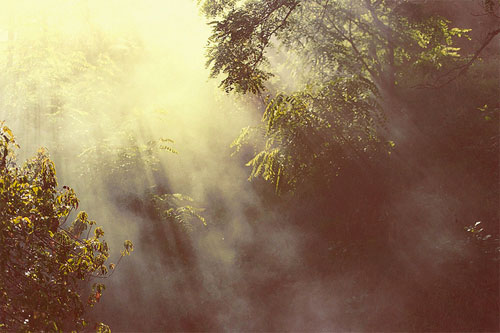 Photographer Matias Montecinos photography