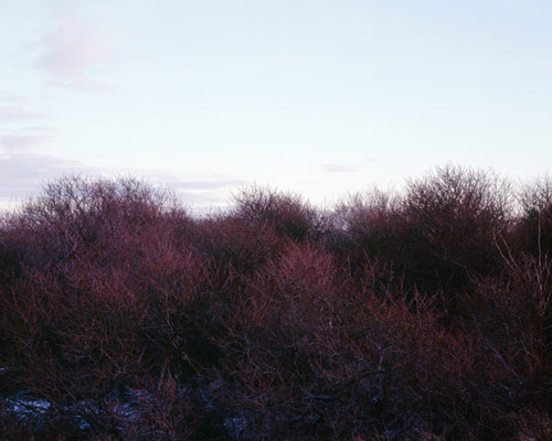 Dune photo book by Misha de Ridder