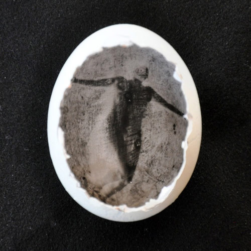 The Pinhegg turn an egg into a pinhole camera