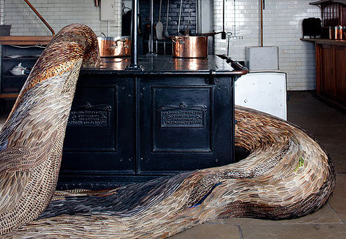 feather sculptures by artist Kate MccGwire