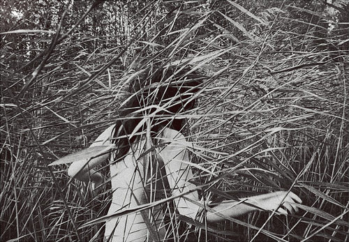 Photographer Sarah Hermans photography