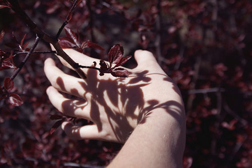 Photographer Elina Nilsson photography