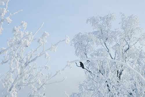 Photographer Elina Nilsson photography
