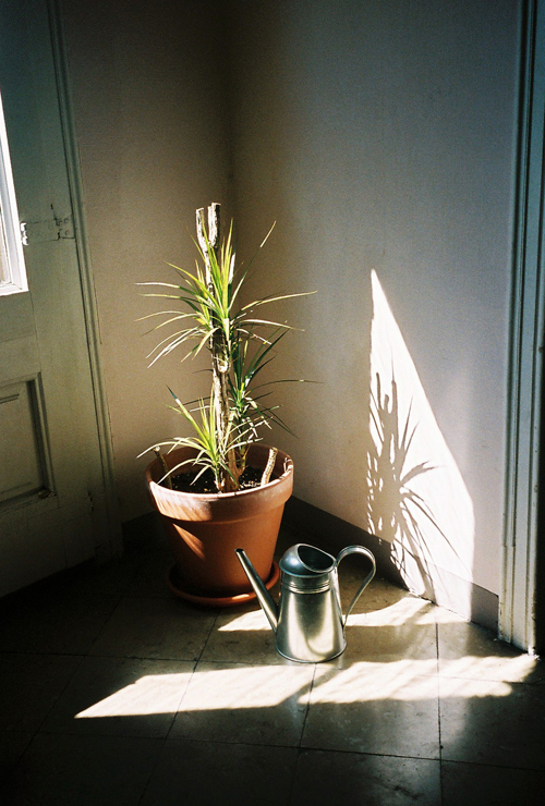 Photographer Adria Canameras photography
