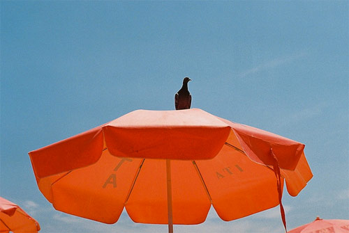 Photographer Benjamin Evans photography