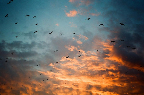 Tourisms photographic travel guides