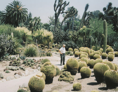 Photographer Karin Apollonia Muller