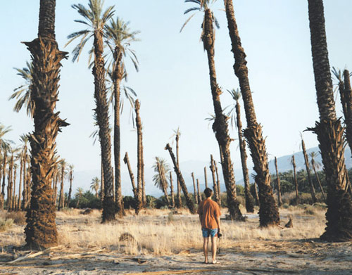 Photographer Karin Apollonia Muller