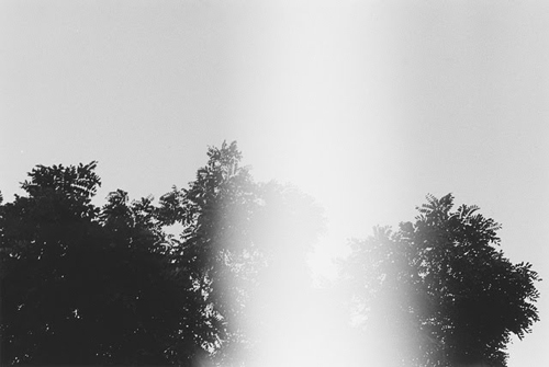 Photographer Maia Akiva photography