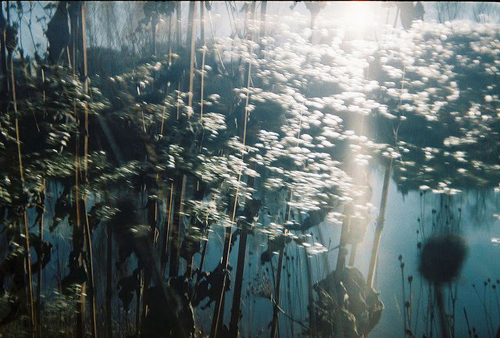 Photographer Maia Akiva photography