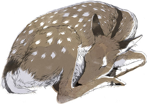 Illustrator Matthew Woodson illustration