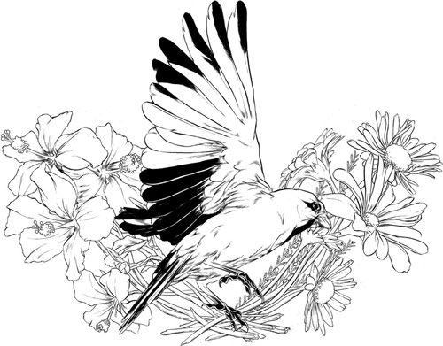 Illustrator Matthew Woodson illustration