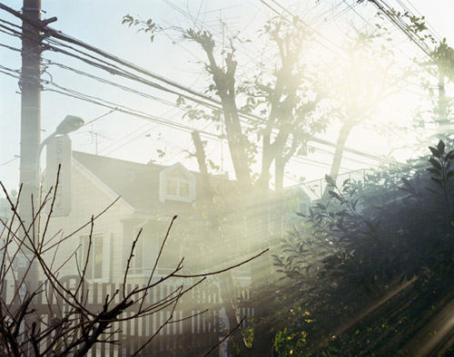 Photographer Yuji Hamada photography