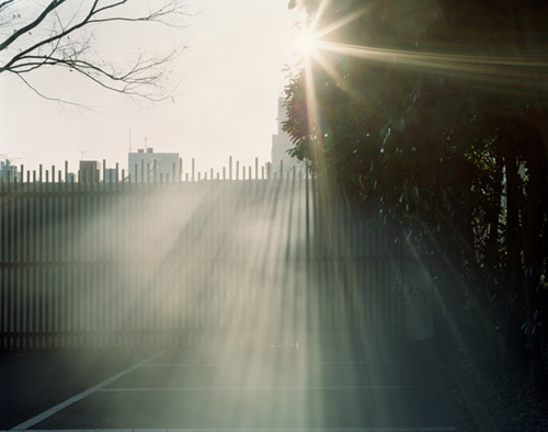 Photographer Yuji Hamada photography