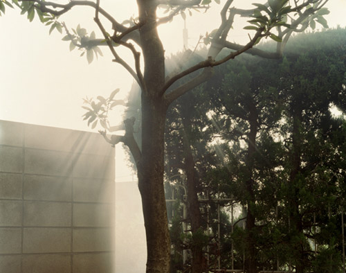 Photographer Yuji Hamada photography