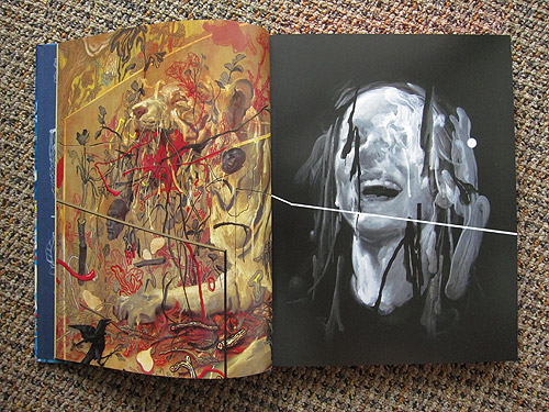 James Jean REBUS book interview and giveaway