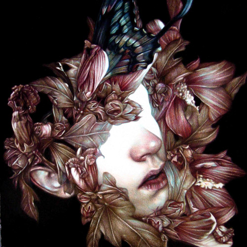 Coloured pencil crayon drawings by artist Marco Mazzoni