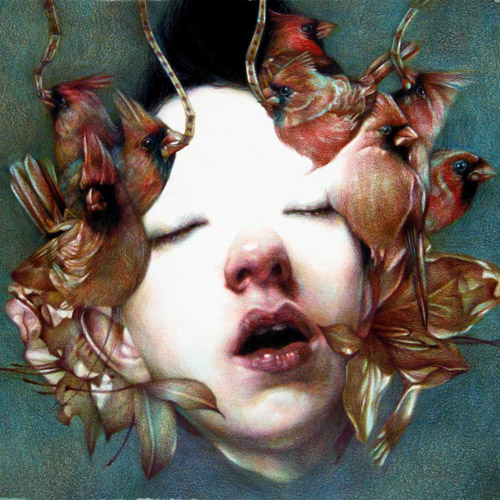 Coloured pencil crayon drawings by artist Marco Mazzoni