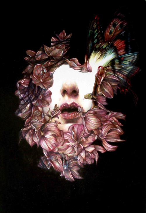Coloured pencil crayon drawings by artist Marco Mazzoni