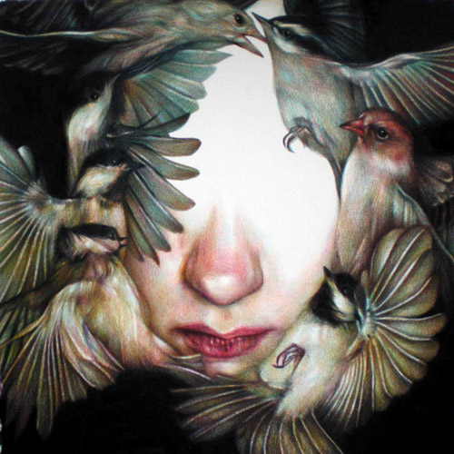 Coloured pencil crayon drawings by artist Marco Mazzoni