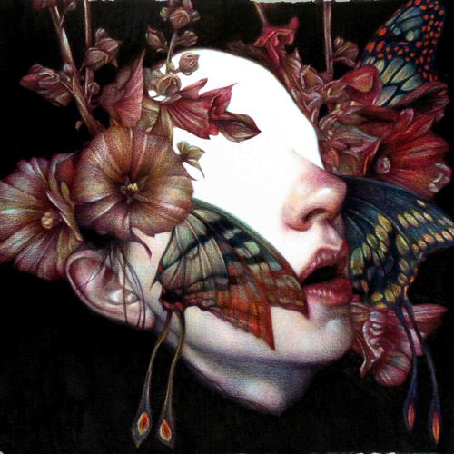 Coloured pencil crayon drawings by artist Marco Mazzoni