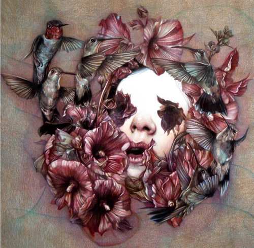 Coloured pencil crayon drawings by artist Marco Mazzoni