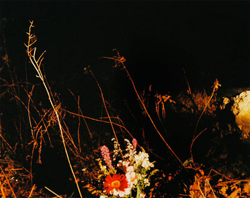 Photographer Miranda Lichtenstein photography