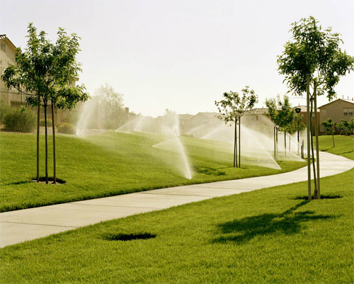 photographer photography Stacy Arezou Mehrfar