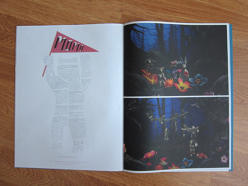 Wrap paper magazine illustration publication