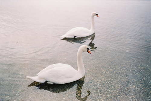Photographer Zuzana Mitosinkova