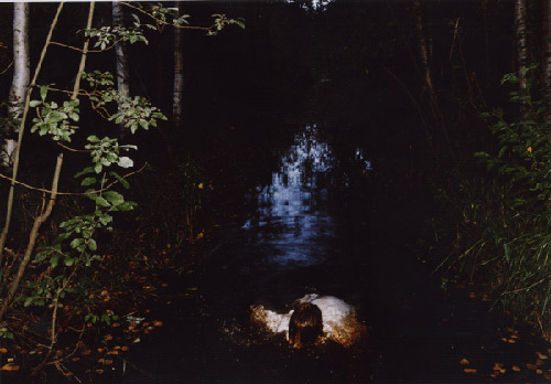 Photographer Aino Kannisto photography