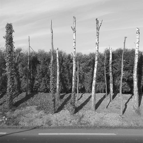 Photographer Sebastien Chou photography