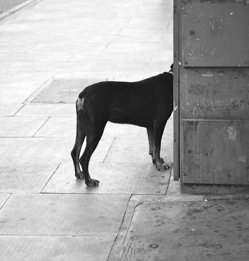Photographer Jei Tootle photography
