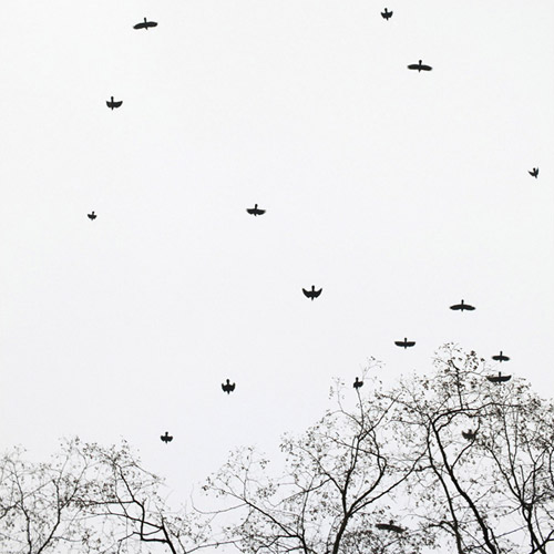 Photographer Joanne Ratajczak photography