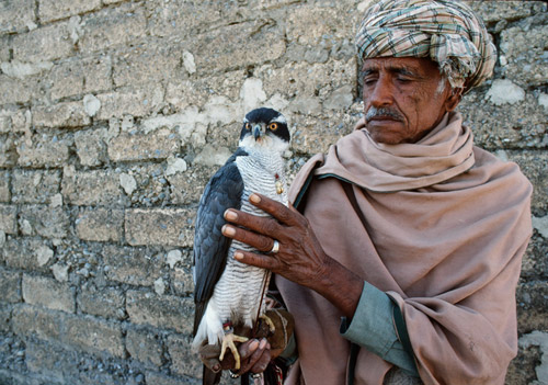 Honorable Mentions in Planet's Global Travel Photo Contest