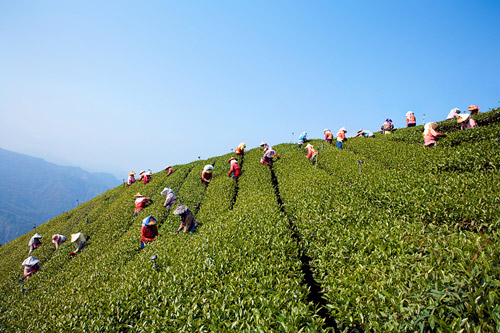 Honorable Mentions in Planet's Global Travel Photo Contest