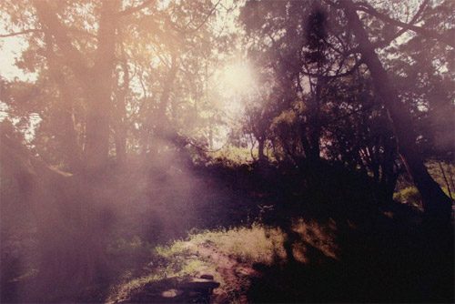 Photographer Sarah Bernhard photography