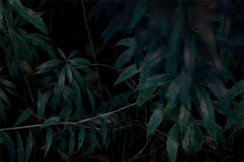 Photographer Sarah Bernhard photography